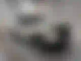 Vehicle Image- 2025 Nissan Frontier