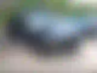 Vehicle Image- 2022 Nissan Frontier