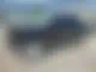 Vehicle Image- 2023 Nissan Frontier