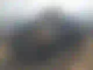 Vehicle Image- 2023 Nissan Frontier