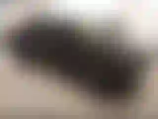 Vehicle Image- 2023 Nissan Frontier