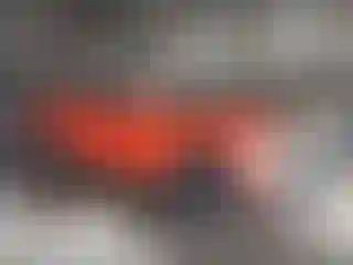 Vehicle Image- 2025 Nissan Frontier