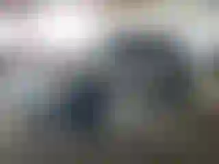 Vehicle Image- 2004 Nissan Frontier