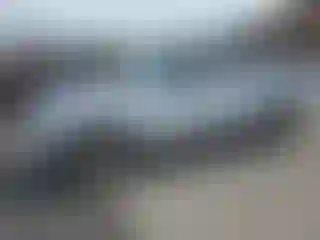 Vehicle Image- 2000 Nissan Frontier