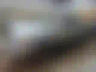 Vehicle Image- 2000 Nissan Frontier