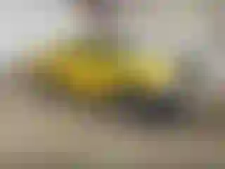 Vehicle Image- 2000 Nissan Frontier