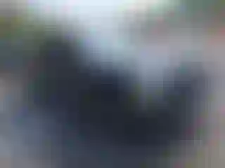 Vehicle Image- 2002 Nissan Frontier