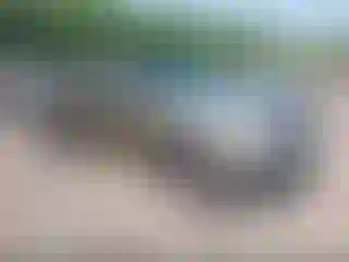 Vehicle Image- 2002 Nissan Frontier