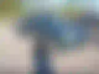 Vehicle Image- 2002 Nissan Frontier