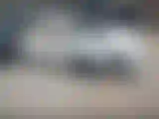 Vehicle Image- 1995 Toyota Corolla