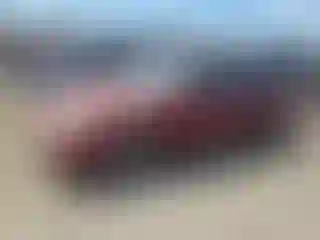Vehicle Image- 1994 Toyota Corolla
