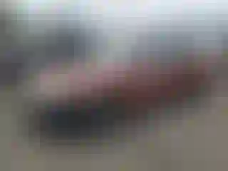 Vehicle Image- 1992 Toyota Corolla