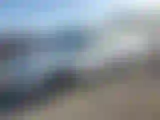 Vehicle Image- 1996 Toyota Corolla