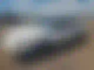 Vehicle Image- 1996 Toyota Corolla