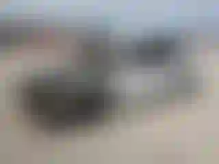 Vehicle Image- 1996 Toyota Corolla