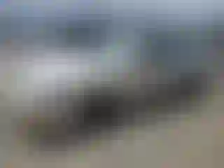 Vehicle Image- 1996 Toyota Corolla