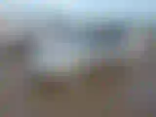 Vehicle Image- 1999 Toyota Corolla
