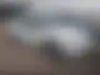 Vehicle Image- 1999 Toyota Corolla