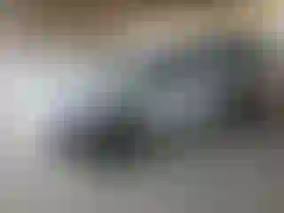 Vehicle Image- 2000 Toyota Corolla