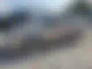 Vehicle Image- 2001 Toyota Corolla