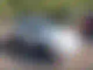 Vehicle Image- 2001 Toyota Corolla