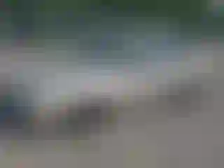 Vehicle Image- 2001 Toyota Corolla