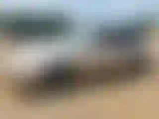 Vehicle Image- 2001 Toyota Corolla