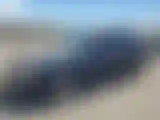 Vehicle Image- 2001 Toyota Corolla