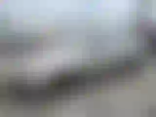 Vehicle Image- 2002 Toyota Corolla