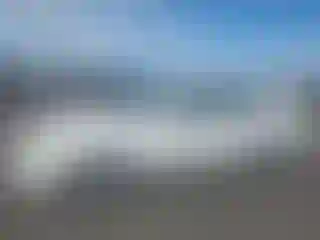 Vehicle Image- 2002 Toyota Corolla