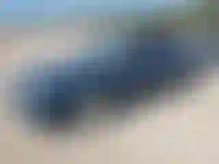 Vehicle Image- 1999 Toyota Corolla