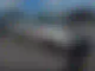Vehicle Image- 1999 Toyota Corolla