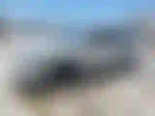 Vehicle Image- 1999 Toyota Corolla
