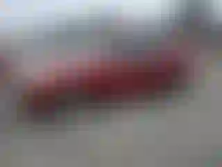 Vehicle Image- 2005 Toyota Corolla