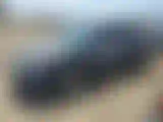 Vehicle Image- 2007 Toyota Corolla