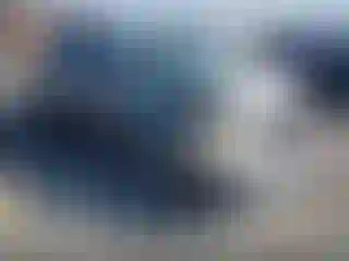 Vehicle Image- 2006 Toyota Corolla