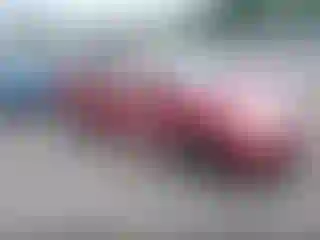 Vehicle Image- 2007 Toyota Corolla