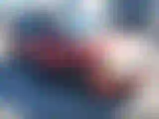 Vehicle Image- 2008 Toyota Corolla