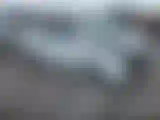 Vehicle Image- 2006 Toyota Corolla