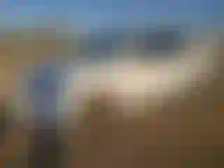 Vehicle Image- 2003 Toyota Corolla