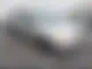 Vehicle Image- 2003 Toyota Corolla