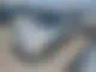 Vehicle Image- 2004 Toyota Corolla