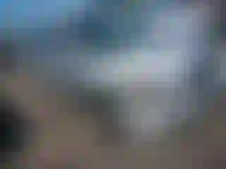 Vehicle Image- 2004 Toyota Corolla