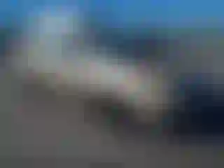 Vehicle Image- 2004 Toyota Corolla