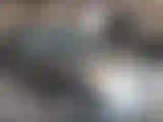 Vehicle Image- 2004 Toyota Corolla