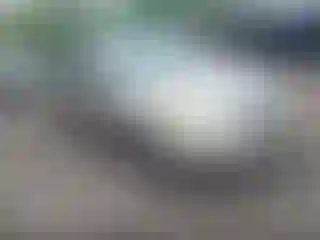 Vehicle Image- 2006 Toyota Corolla