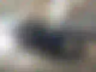 Vehicle Image- 2006 Toyota Corolla