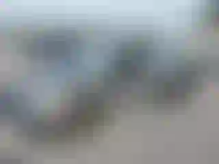 Vehicle Image- 2006 Toyota Corolla