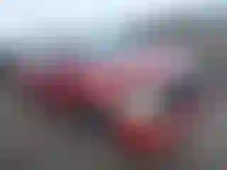 Vehicle Image- 2007 Toyota Corolla