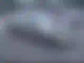 Vehicle Image- 2008 Toyota Corolla